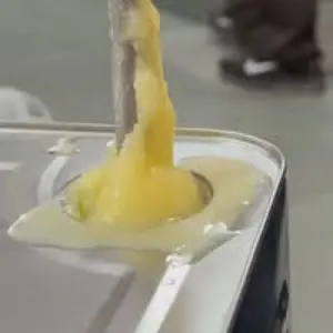 DS Dairy
