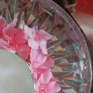 Divya Jeevan