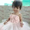 Ziya Khan