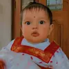 Upadriti sarkar