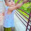 Krishna 
