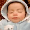Arf Ansari