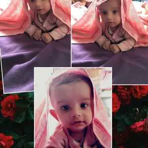 Pranshu