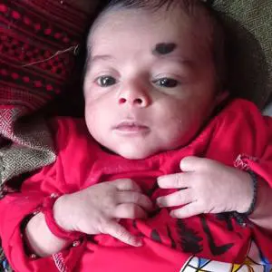 Krishav Guleria