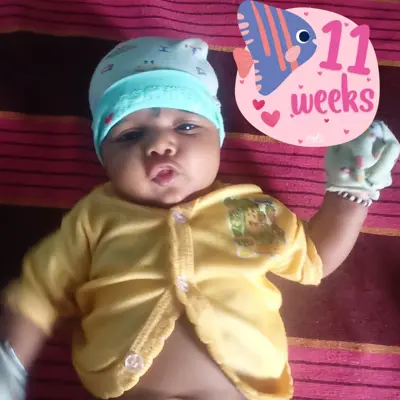 Vaishnavi jinka