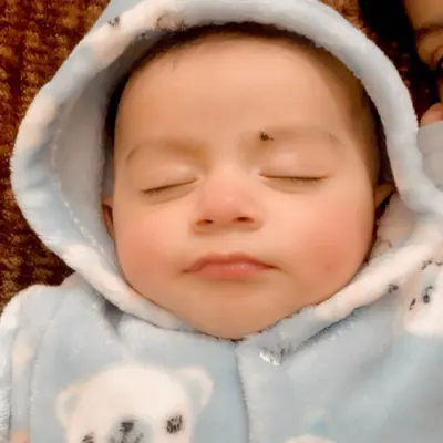 Arf Ansari