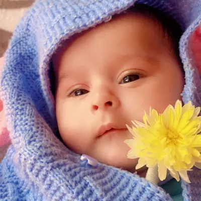 Shreevika 
