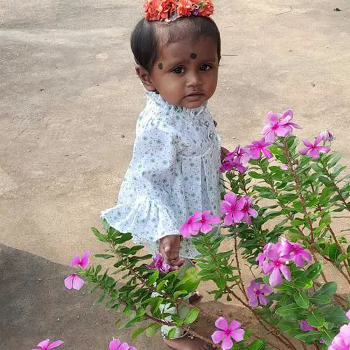 Bhanu sree