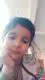 janhvi shukla