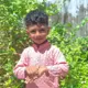 my-contest
